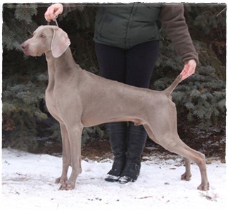 Leiths The Powers That Be