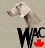 Weimaraner Association of Canada